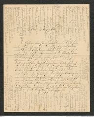 Nachlass Franz Steindachner, Brief von E. Brandis an Franz Steindachner (12.11.1902), Inv.Nr. 52.01, Seite 1